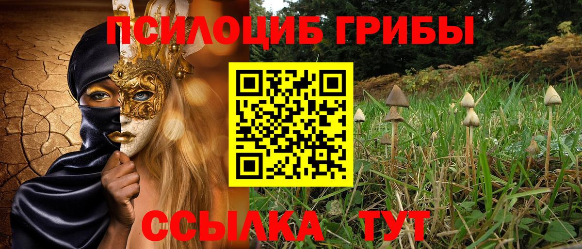 Щёлково  Галлюциногенные грибы мицелий  Вход с VPN 